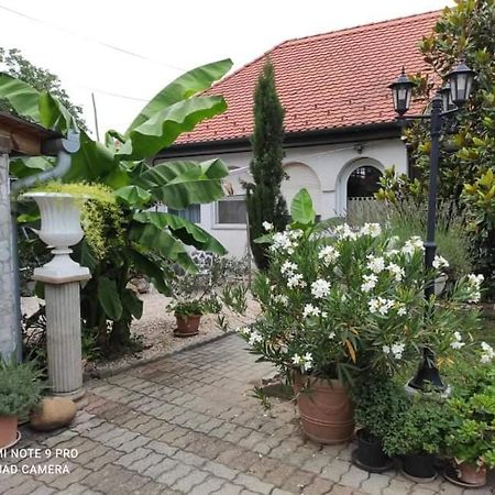 Lavendel Apartman Harkány Εξωτερικό φωτογραφία