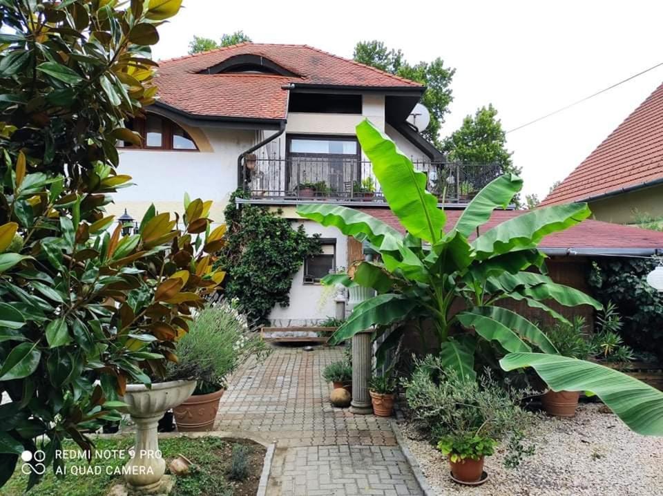 Lavendel Apartman Harkány Εξωτερικό φωτογραφία